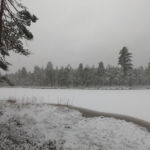 Mijn favoriete meertje in het sportbos, helemaal bedekt met sneeuw maar wel verraderlijk want het ijs was nog niet dik genoeg om op te staan (1 natte voet)